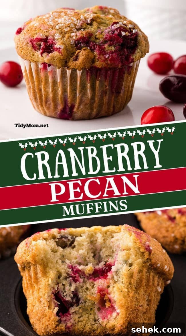 Cranberry Pecan Muffins: Perfect Bake Sale Treat 19 close ups of a fresh baked muffins