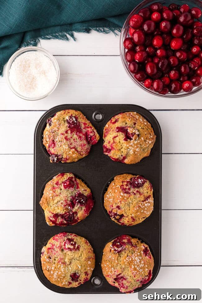 Cranberry Pecan Muffins: Perfect Bake Sale Treat 9 Six fresh baked muffins in a muffin pan