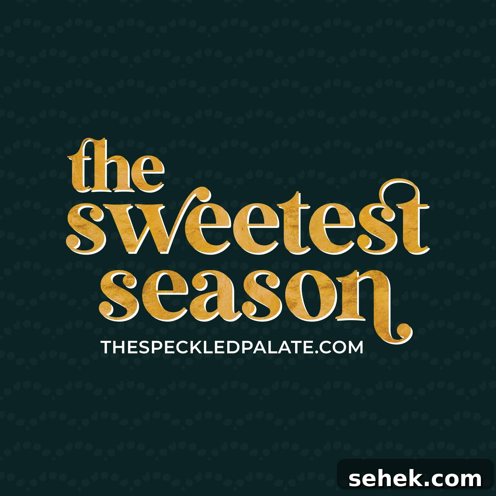 Ultimate Double Chocolate Cookies Recipe for Rich, Fudgy Results 11 The sweetest season logo on a dark background.