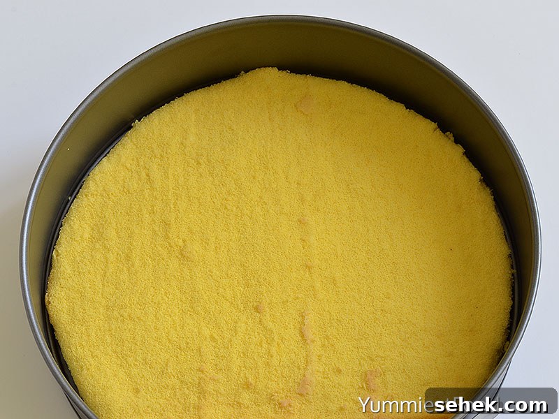 Strawberry Cheesecake - Making - Step 1