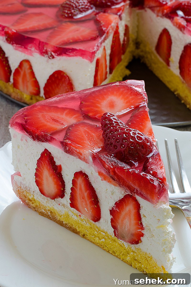 Strawberry Cheesecake - On the Plate