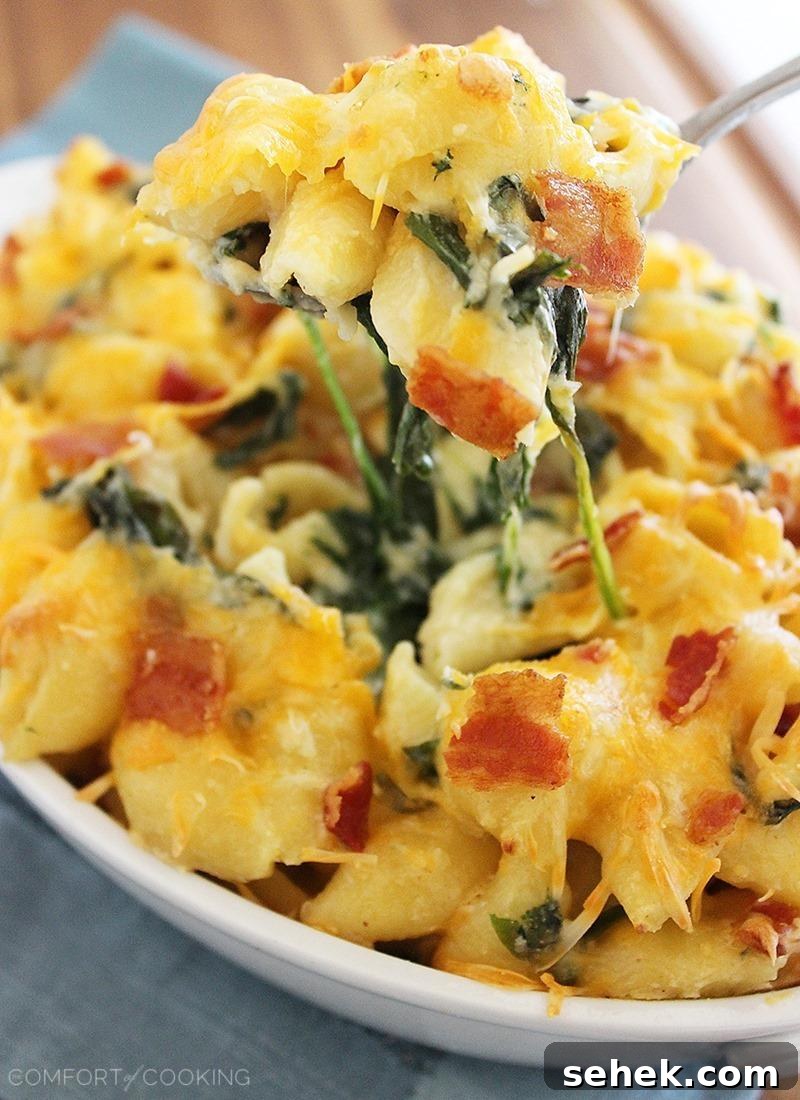 Creamy Spinach and Bacon Macaroni & Cheese Recipe 7 Creamy Spinach-Bacon Macaroni & Cheese