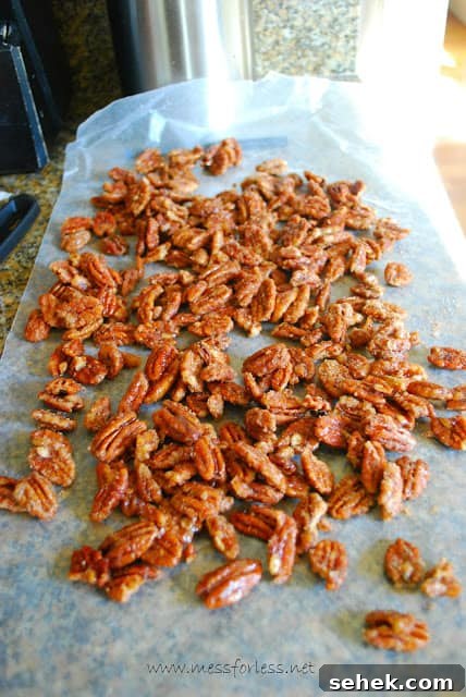 Sweet Cinnamon Candied Pecans for Snacking & Gifts 10 candied pecans