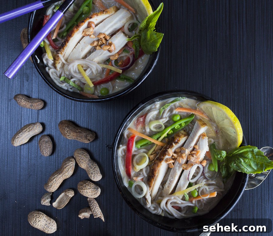 Thai Chicken Ramen Bowl with Veggies, Basil & Peanuts 2 Create this comfort food at home for a healthy, satisfying meal. Gluten-free... no msg here!