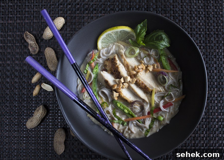 Thai Chicken Ramen Bowl with Veggies, Basil & Peanuts 6 Ready to dig in ... this one the kids will not be able to resist!