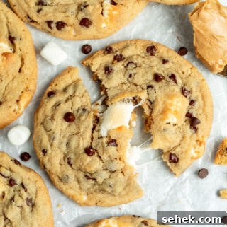 Peanut Butter Marshmallow Cookies Recipe for Soft, Chewy Treats 9 Giant peanut butter cookies with gooey mini marshmallows