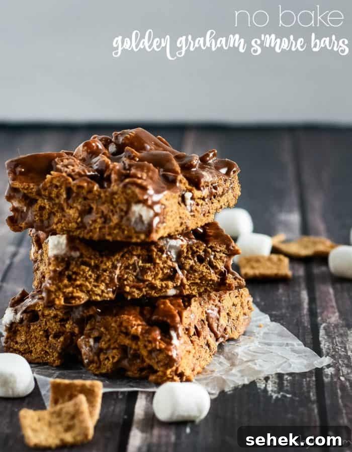no bake smore bars recipe title photo