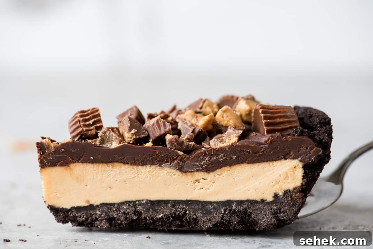 piece of chocolate peanut butter pie on metal spatula