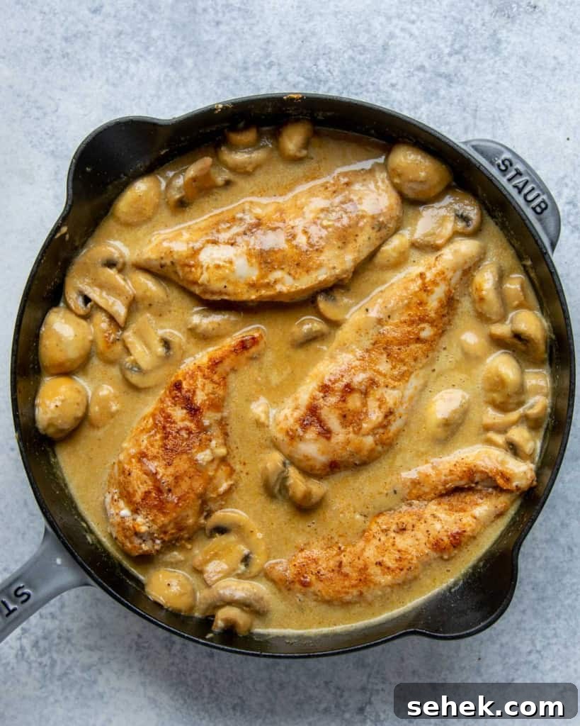 Creamy Dijon Chicken with Mushrooms and Garlic Herbs 8 chicken breast placed back into the creamy mustard sauce