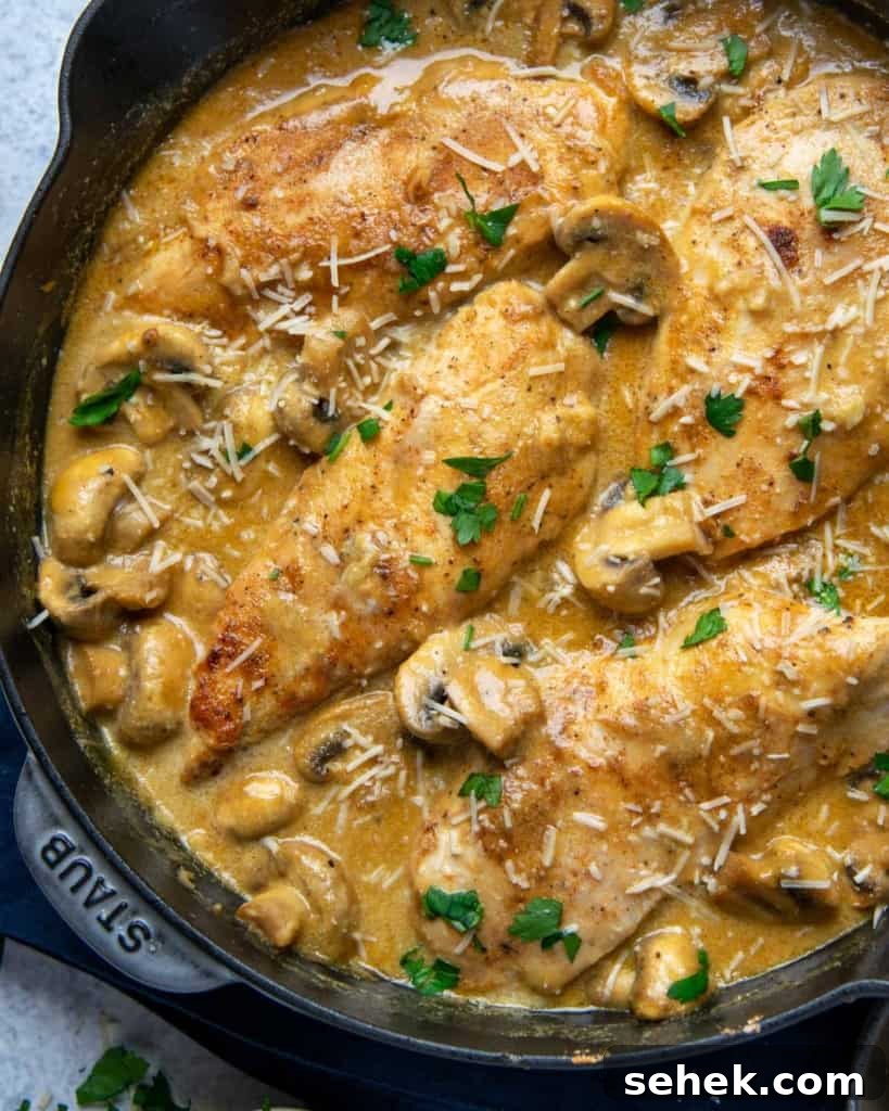 Creamy Dijon Chicken with Mushrooms and Garlic Herbs 9 close up chicken breast in a creamy mushroom sauce