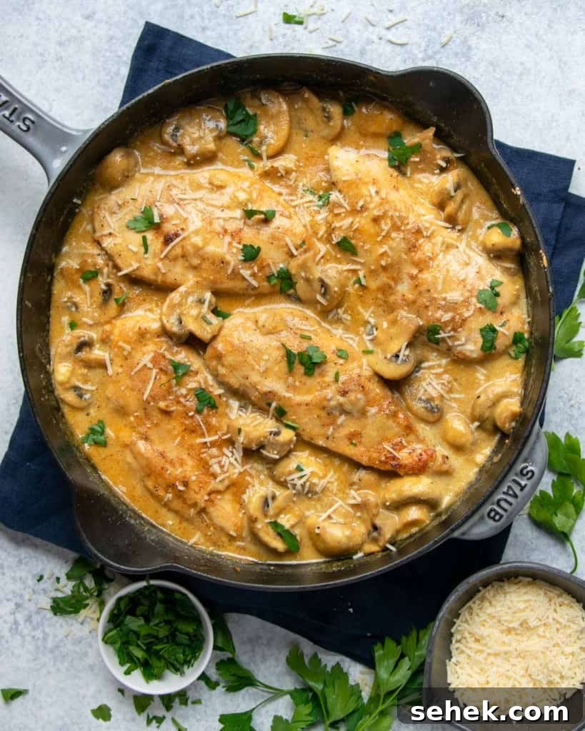 Creamy Dijon Chicken with Mushrooms and Garlic Herbs 10 top view chicken breast in a creamy mustard and mushroom sauce