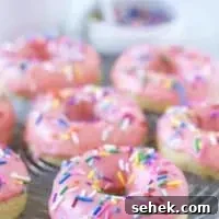 Gluten-Free Yellow Cake Donuts Recipe — Soft Baked Donuts 7 img 5797 16