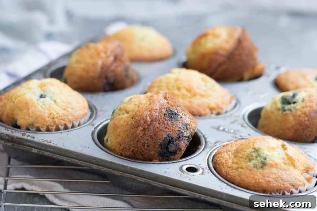 Lemon-Infused Blueberry Muffins Recipe 2 blueberry muffins in a muffin tin