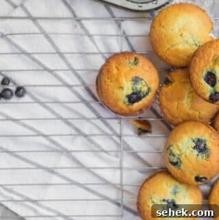 Lemon-Infused Blueberry Muffins Recipe 9 muffins on a cooling rack