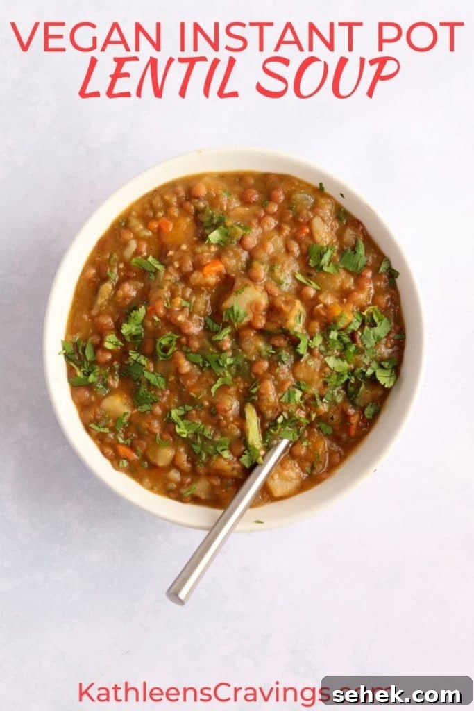 Hearty Vegan Lentil Soup in the Instant Pot — Ready Fast 2 Vegan instant pot lentil soup in a bowl