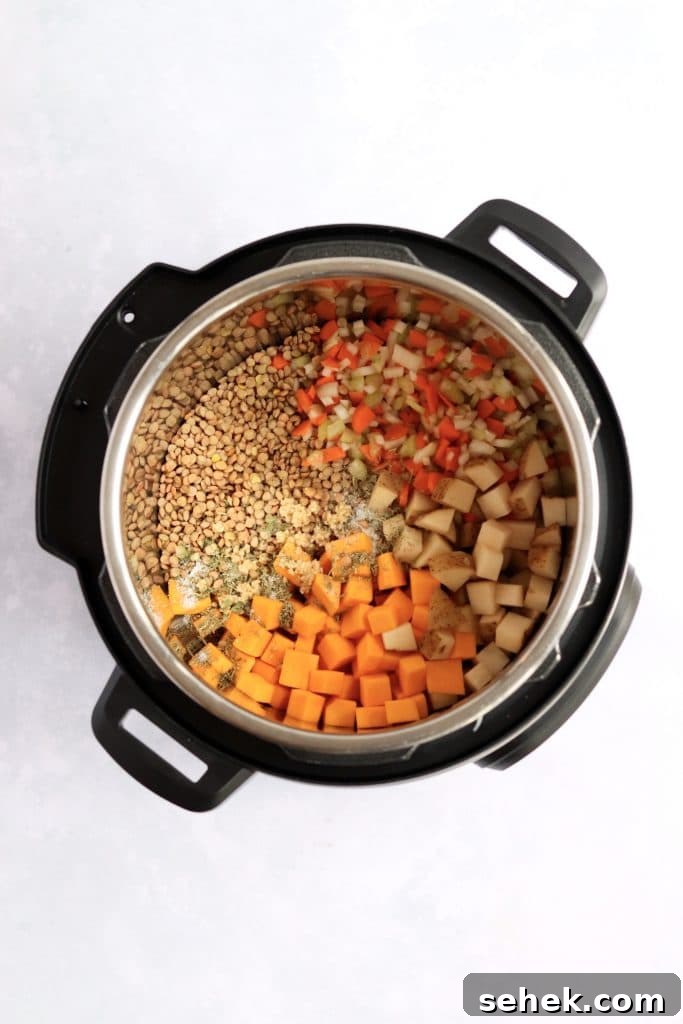 Hearty Vegan Lentil Soup in the Instant Pot — Ready Fast 4 lentil soup ingredients in instant pot