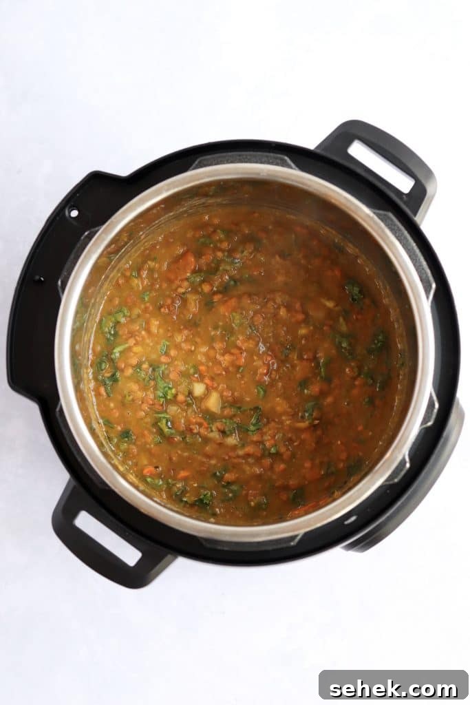 Hearty Vegan Lentil Soup in the Instant Pot — Ready Fast 5 lentil soup in an instant pot