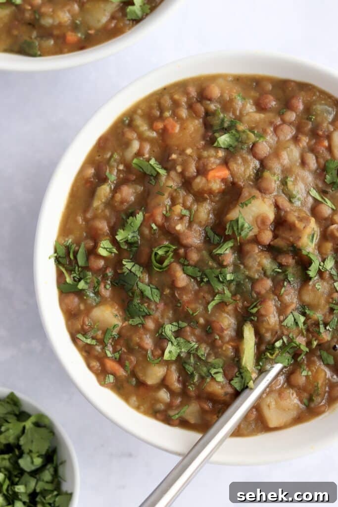Hearty Vegan Lentil Soup in the Instant Pot — Ready Fast 6 Instant Pot lentil soup with kale in bowls