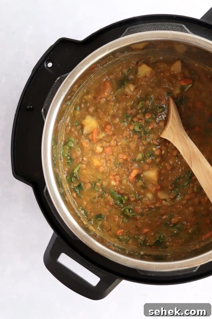 Hearty Vegan Lentil Soup in the Instant Pot — Ready Fast 7 Vegan lentil soup in the instant pot