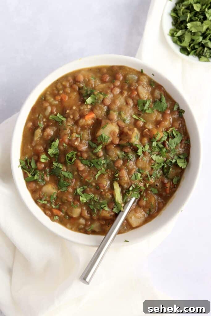 Hearty Vegan Lentil Soup in the Instant Pot — Ready Fast 8 Veggie lentil soup in a bowl