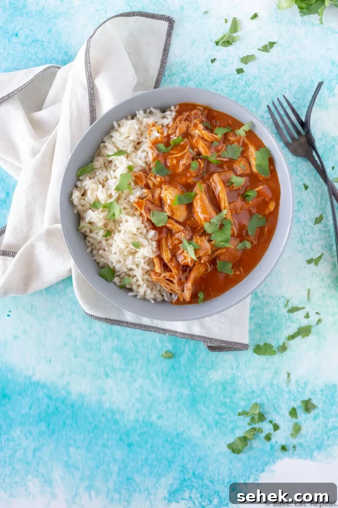 A bowl of Indian butter chicken and rice.