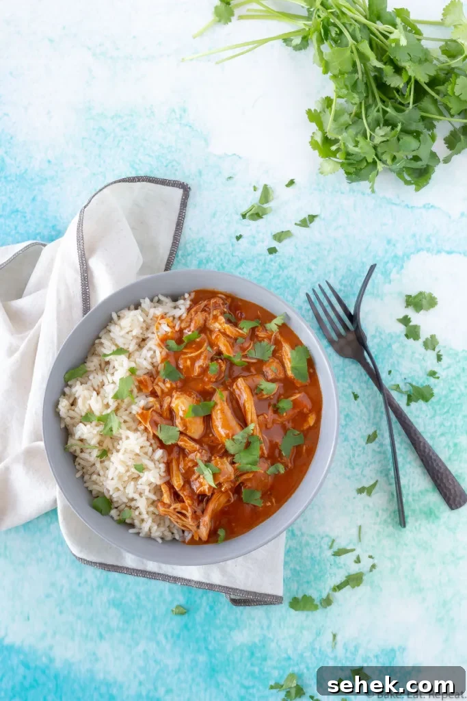 Easy Instant Pot butter chicken.