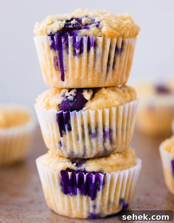 The Best Keto Low Carb Blueberry Muffins The Best Keto Low Carb Blueberry Muffins