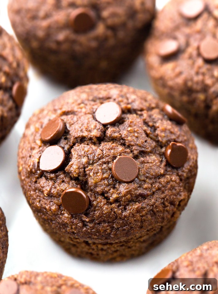 Death By Chocolate Keto Muffins Death By Chocolate Keto Muffins