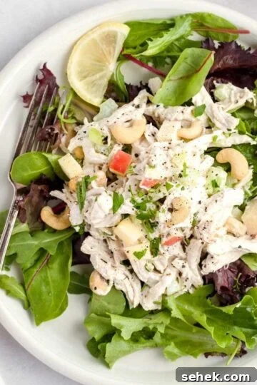 Chicken cashew salad on a bed of spring mix.