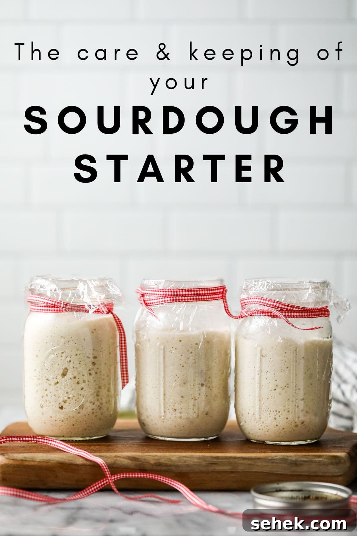 Sourdough Starter Care: How to Feed, Store, and Revive Yours 2 Image of 3 bubbly active sourdough starters on a wood board with white background
