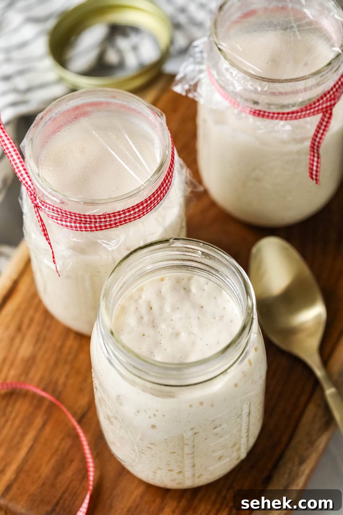 Sourdough Starter Care: How to Feed, Store, and Revive Yours 6 Overhead of active bubbly sourdough starter