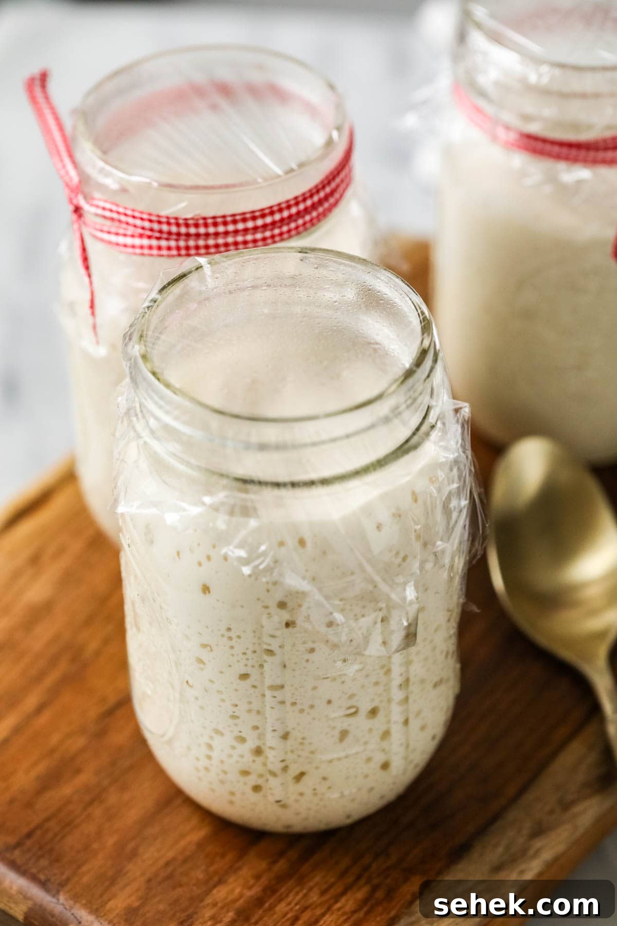 Sourdough Starter Care: How to Feed, Store, and Revive Yours 7 Active bubbly starter covered in mason jar with plastic wrap