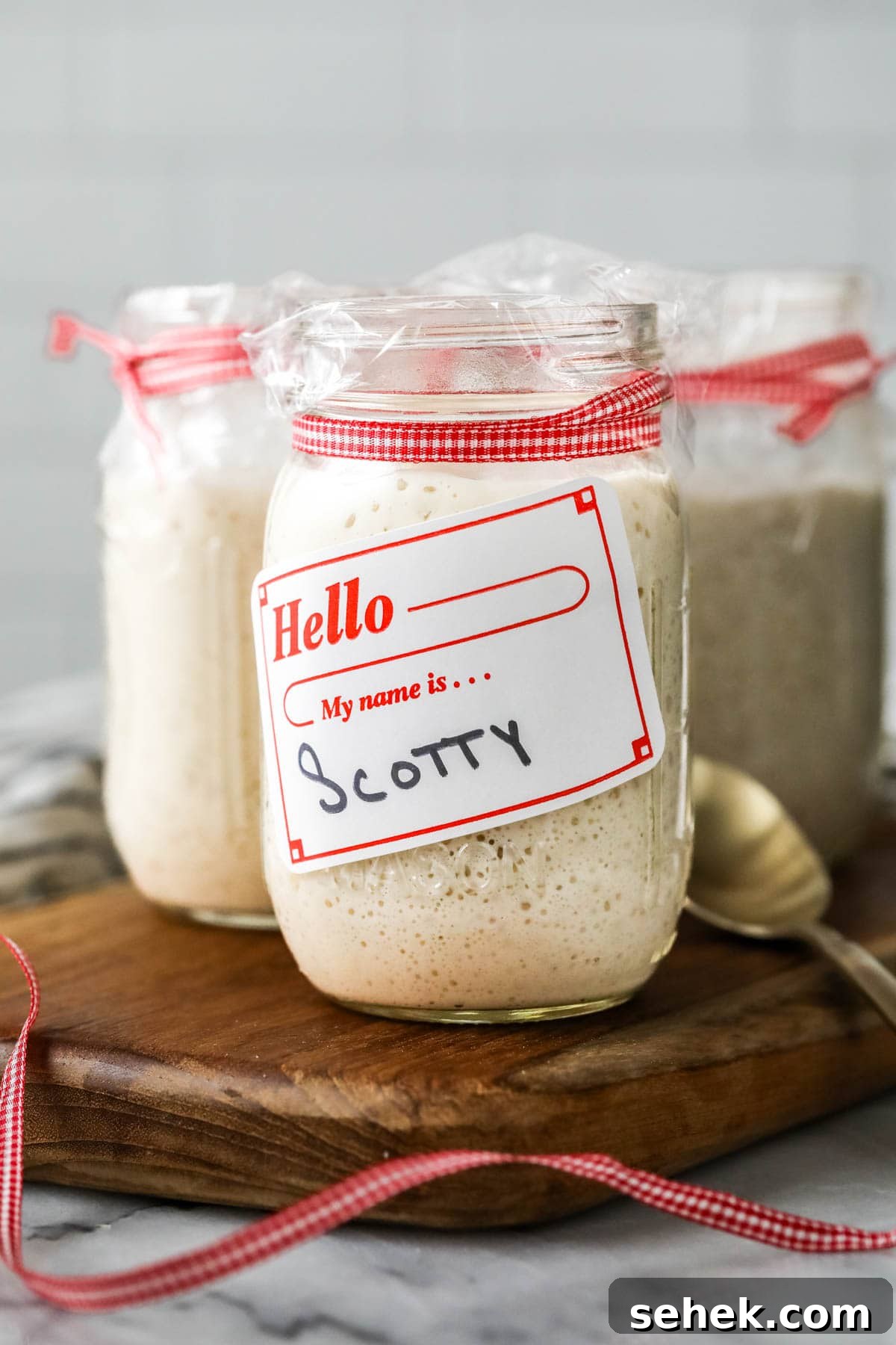 Sourdough Starter Care: How to Feed, Store, and Revive Yours 8 Jar of active sourdough starter with a nametag on it reading "Scotty"
