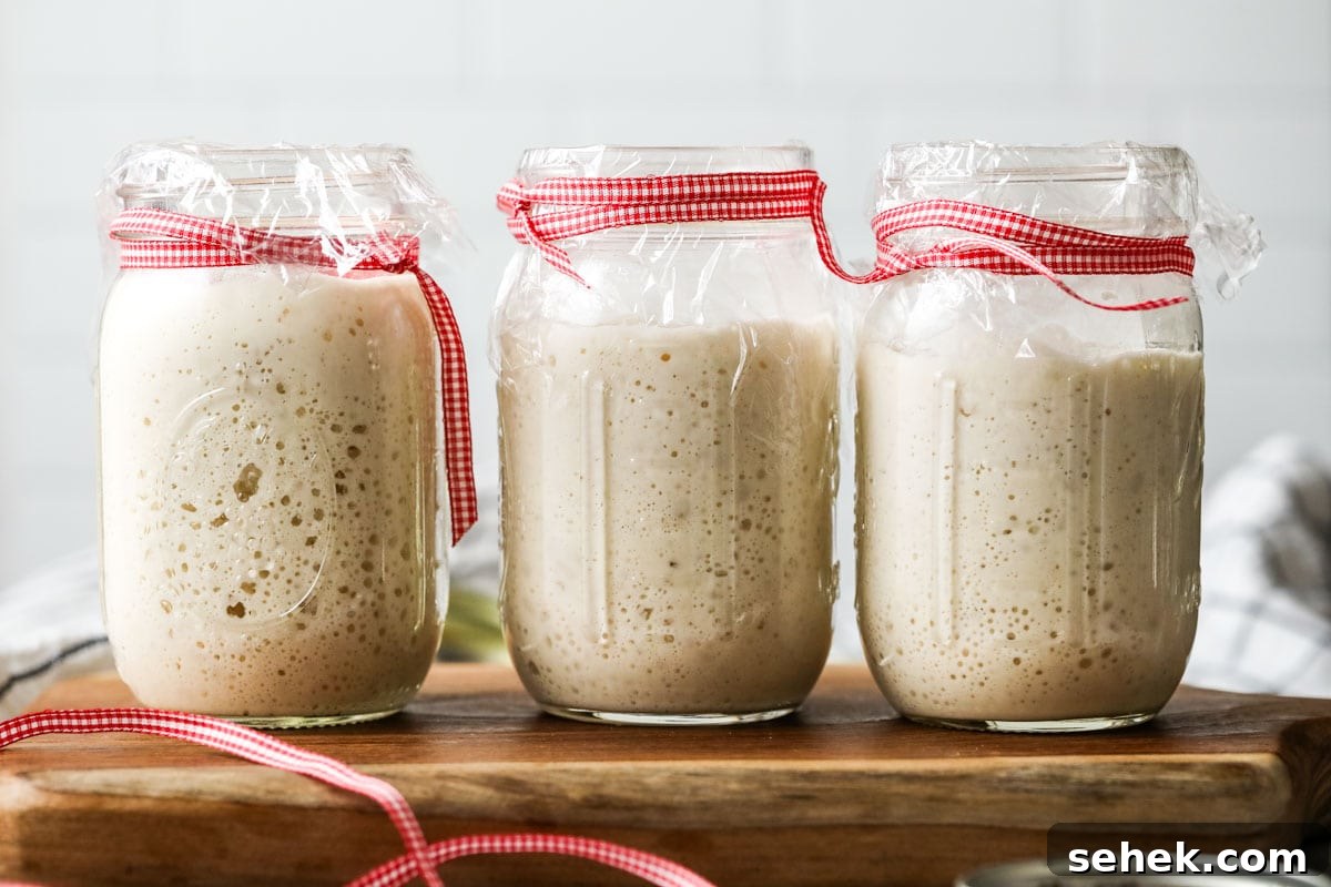 Sourdough Starter Care: How to Feed, Store, and Revive Yours 9 Three jars of active bubbly sourdough starter on a wood board