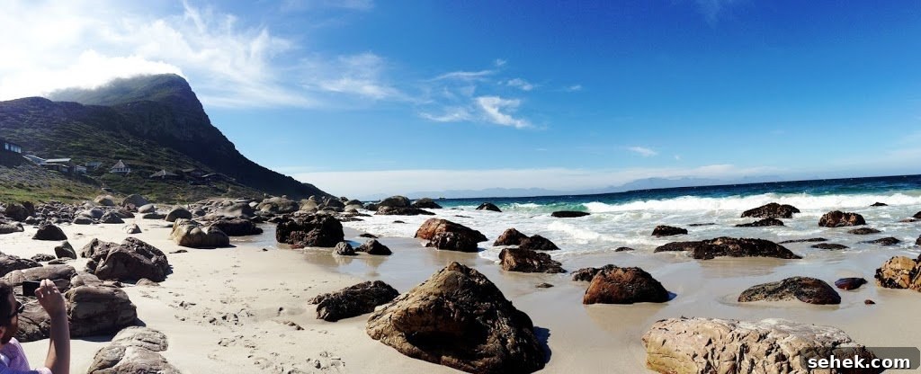 South Africa Sunday: Secret Beaches, Baboons & Penguins Guide 4 img 74 3