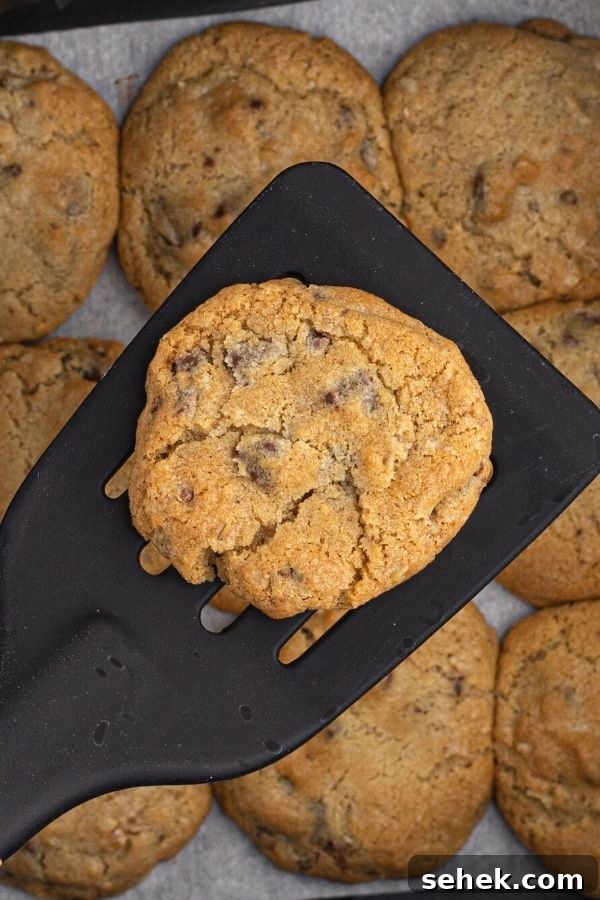 How to Make DoubleTree Signature Cookies in an Air Fryer 4 Baked cookie on a black spatula.