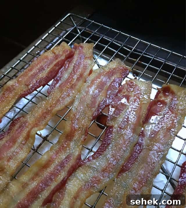 Oven-Baked Bacon on a Rack: Perfect Crispy Strips Every Time 2 a photo of five strips of cooked bacon on a rack with grease glistening for How to Cook Bacon in the Oven on a Rack