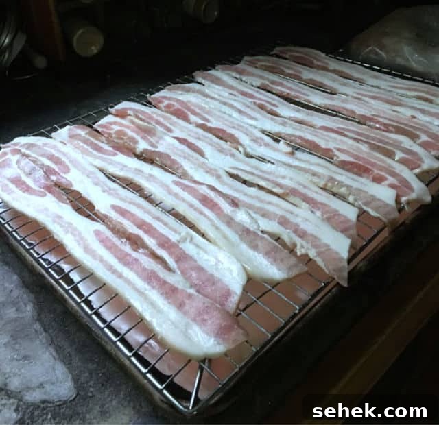 Oven-Baked Bacon on a Rack: Perfect Crispy Strips Every Time 4 A photo of strips of raw bacon laying on top of the rack on top of a rimmed baking sheet