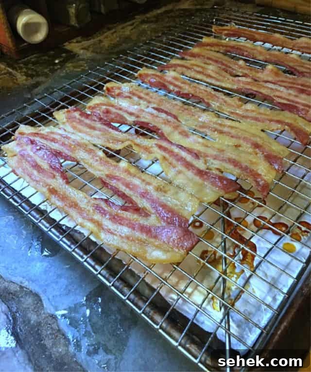 Oven-Baked Bacon on a Rack: Perfect Crispy Strips Every Time 5 Strips of cooked bacon on a rack in a rimmed baking sheet. Drips of cooked grease on the foil in the bottom of the pan