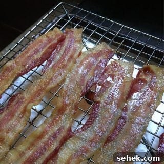a photo of five strips of cooked bacon on a rack with grease glistening