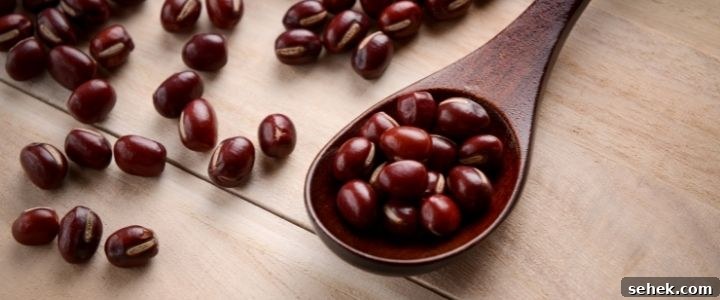 Beans That Boost Nutrition: 5 to Add to Your Diet 6 img 8238 5