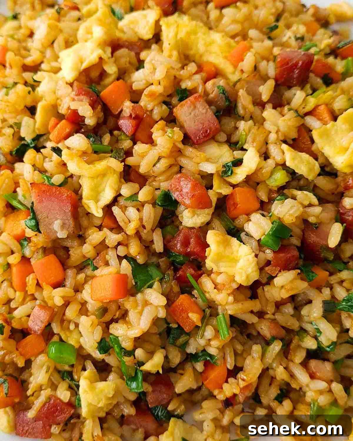 Chinese BBQ Pork Fried Rice Recipe — Authentic Char Siu Fried Rice 2 Close up of fried rice showing small pieces of fried rice, BBQ pork, eggs, carrots and herbs