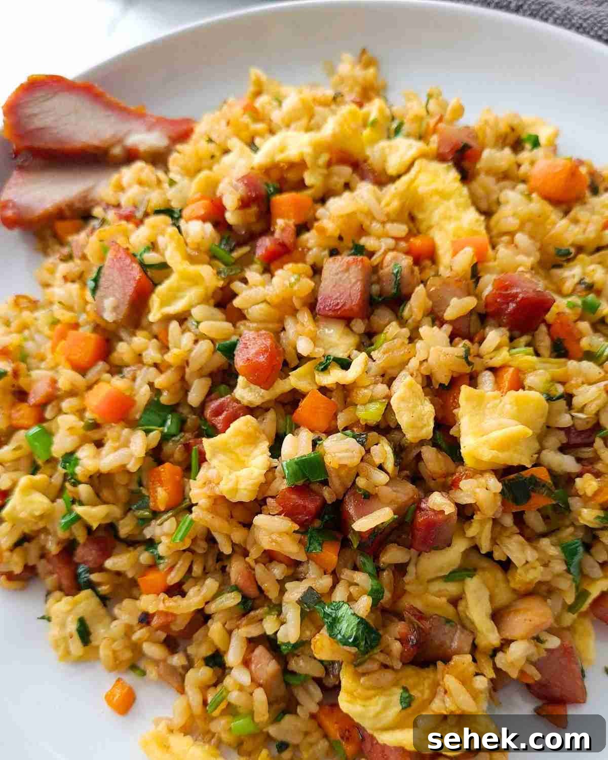 Chinese BBQ Pork Fried Rice Recipe — Authentic Char Siu Fried Rice 12 A plate of fried rice with focus on BBQ pork pieces and golden eggs