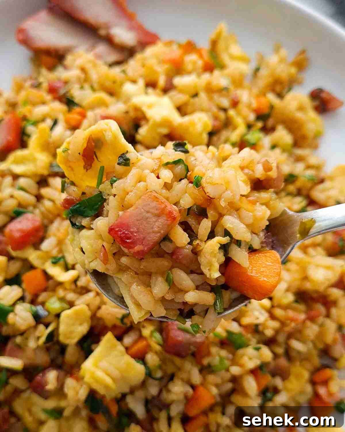 Chinese BBQ Pork Fried Rice Recipe — Authentic Char Siu Fried Rice 13 Close up of spoonful of fried rice over a plateful