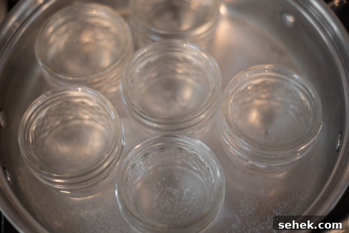 Low-Sugar Strawberry Jam Recipe — Small-Batch Preserving Tips 7 Boiling jars in pot to sterilize them.