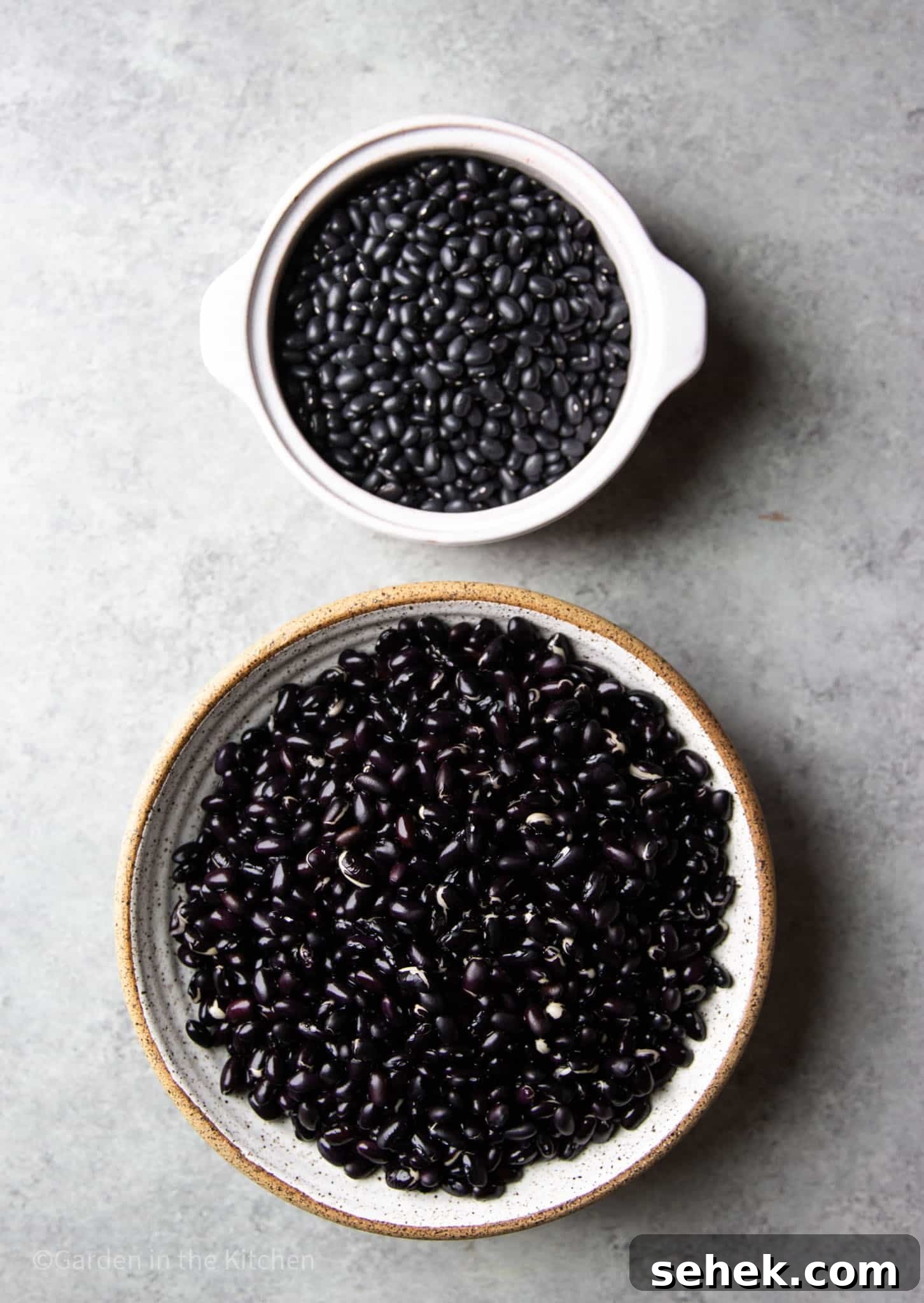 Instant Pot Brazilian Feijoada-Inspired Black Bean Soup 4 dried black beans in a white bowl next to a large bowl full of soaked black beans.