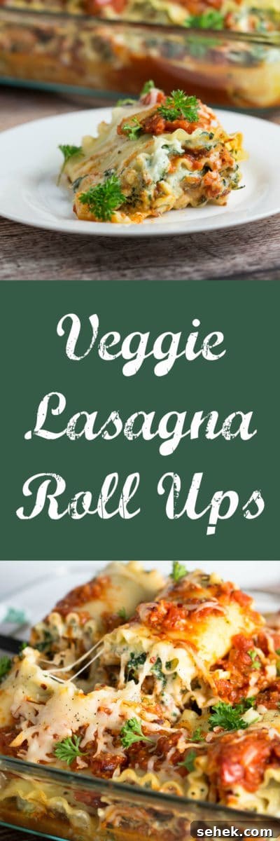 Vegetable Lasagna Roll-Ups with Ricotta and Spinach 2 Veggie Lasagna Roll Ups...quick and satisfying meal! |Krollskorner.com