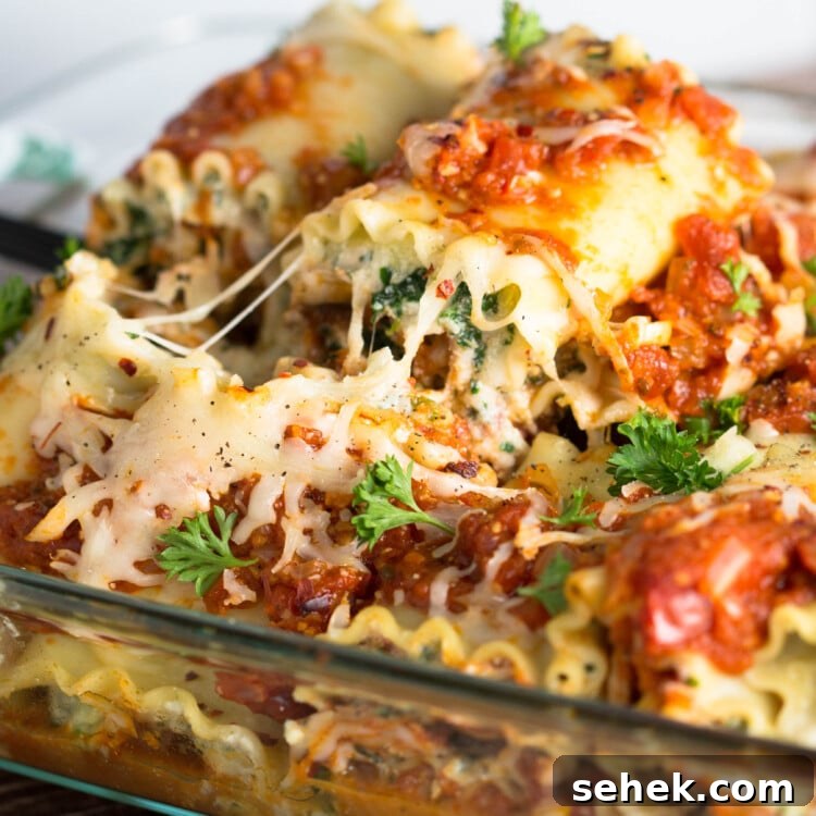 Vegetable Lasagna Roll-Ups with Ricotta and Spinach 3 img 8992 2