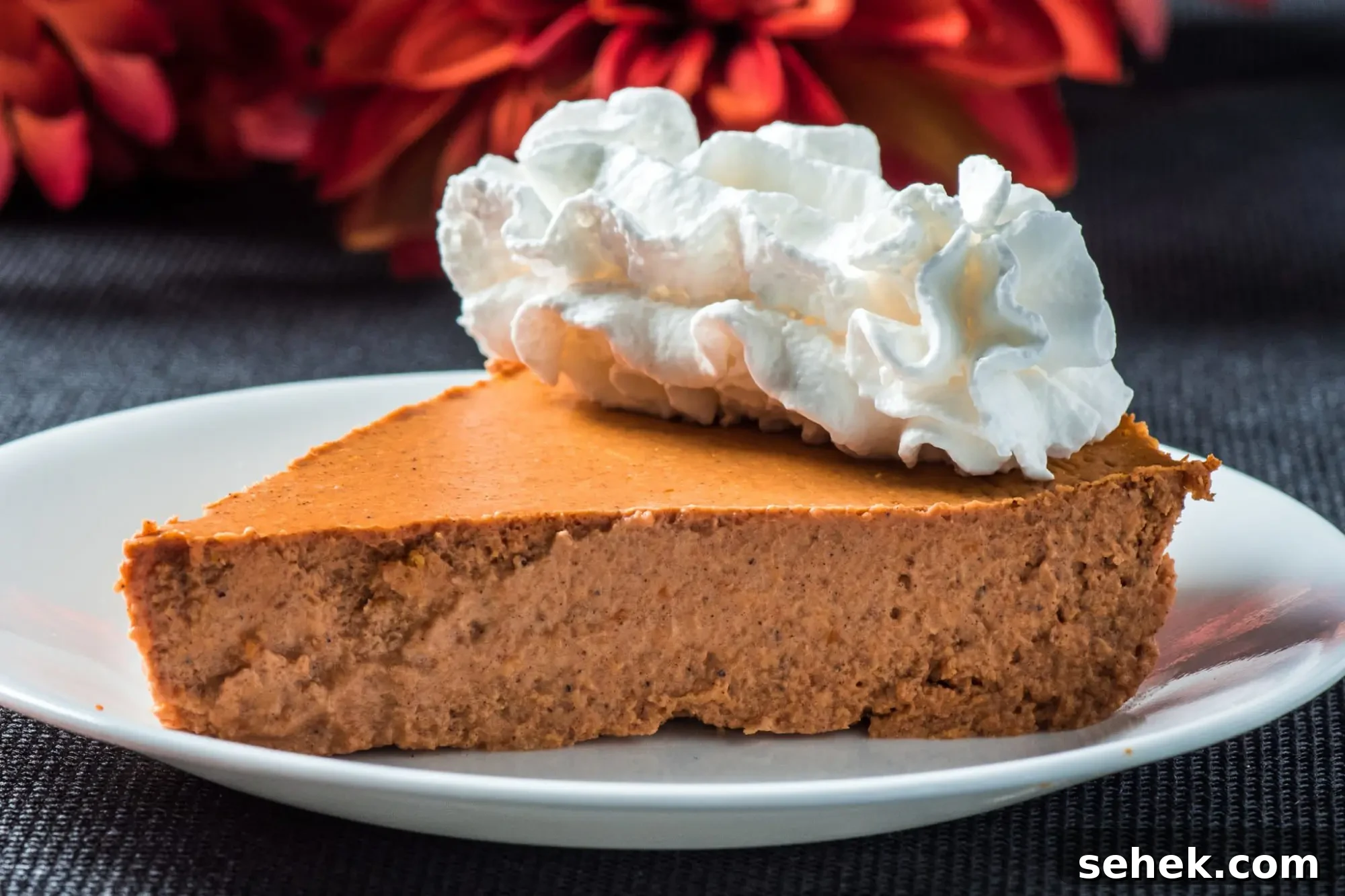 Low-Carb Crustless Pumpkin Pie Recipe for Keto and Paleo Diets 5 Pumpkin Pie Closeup