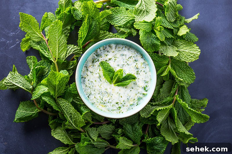 Mint Yogurt Recipe with Fresh Mint Sauce for Salads & Dips 3 mint yoghurt
